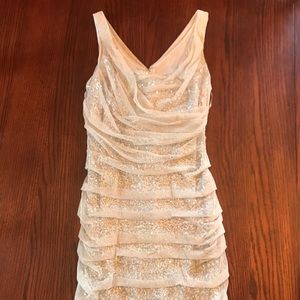 Express Dress (BRAND NEW)